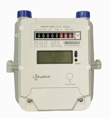 STS AMR プリペイド LORAWAN ガス メーター